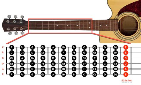 Download our labeled fretboard diagram that shows all the notes on a guitar neck! Existing members of our mailing list are already improving their guitar skills by memorizing the fretboard. They find it easier to solo over backing tracks and just feel more like they know what they’re doing when they pick up a guitar.